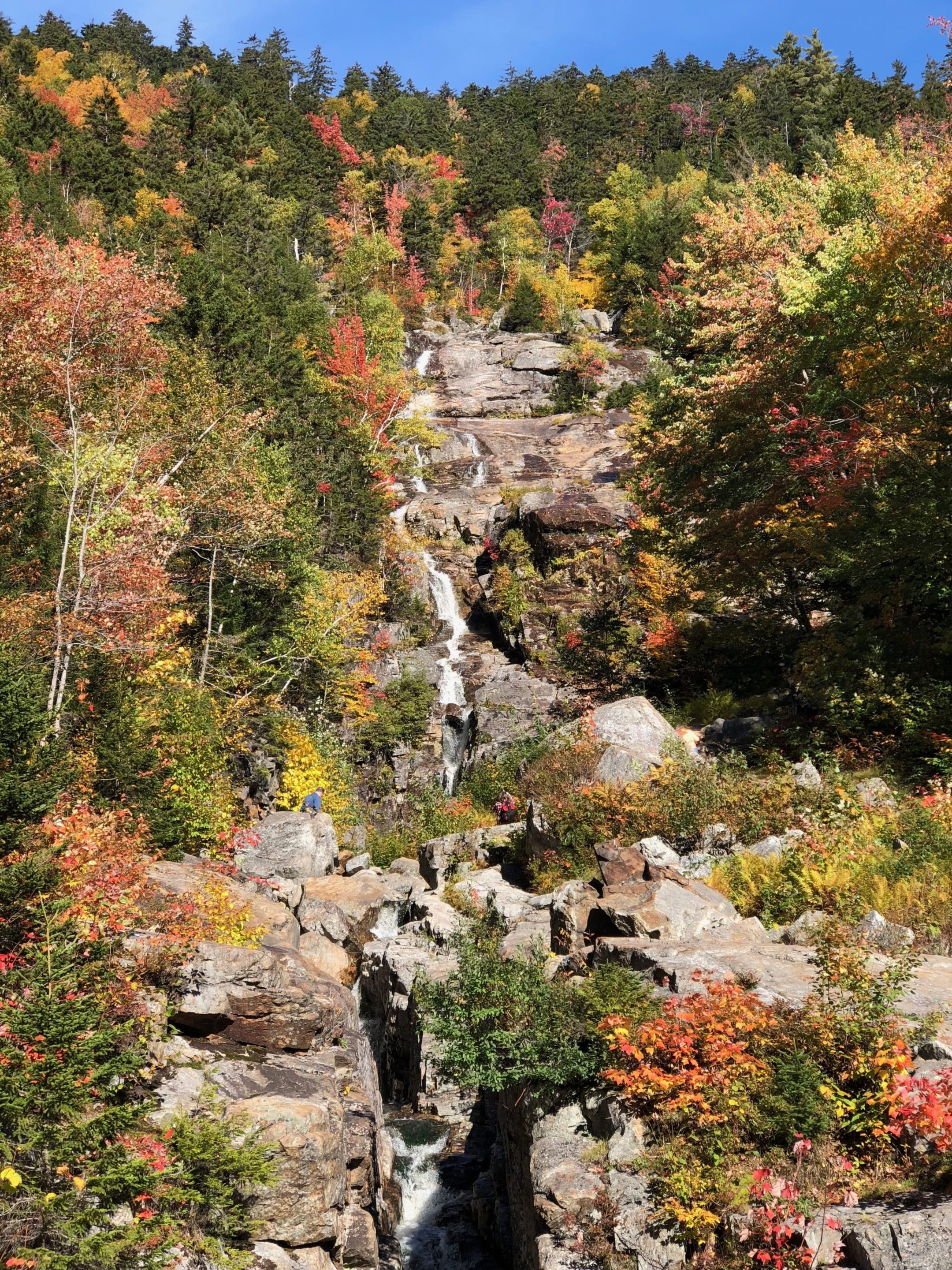 A waterfall in the middle of a forest.