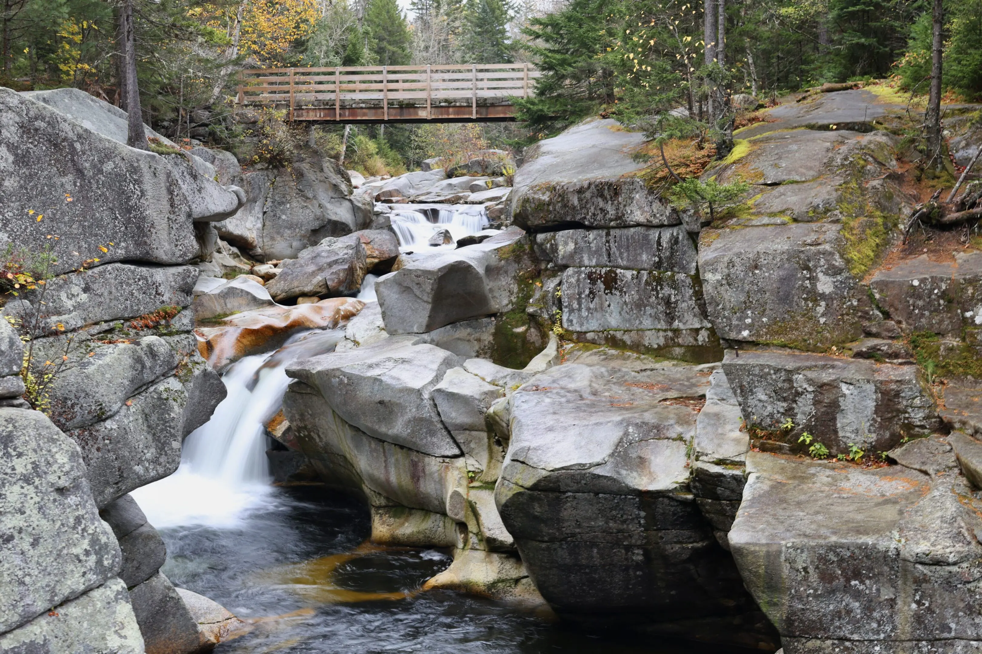 A waterfall in the middle of a forest.