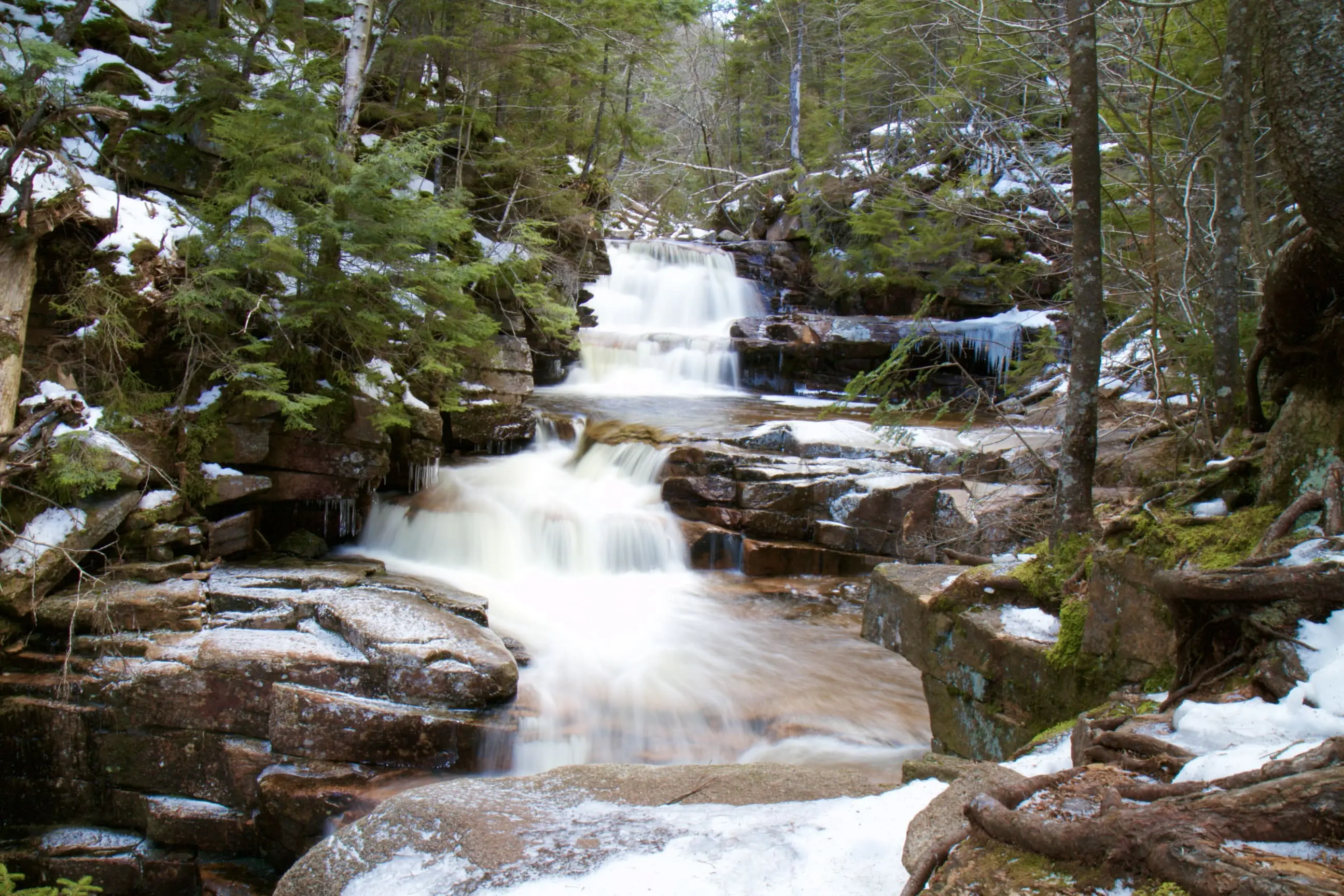 A stream running through the woods with snow on it.