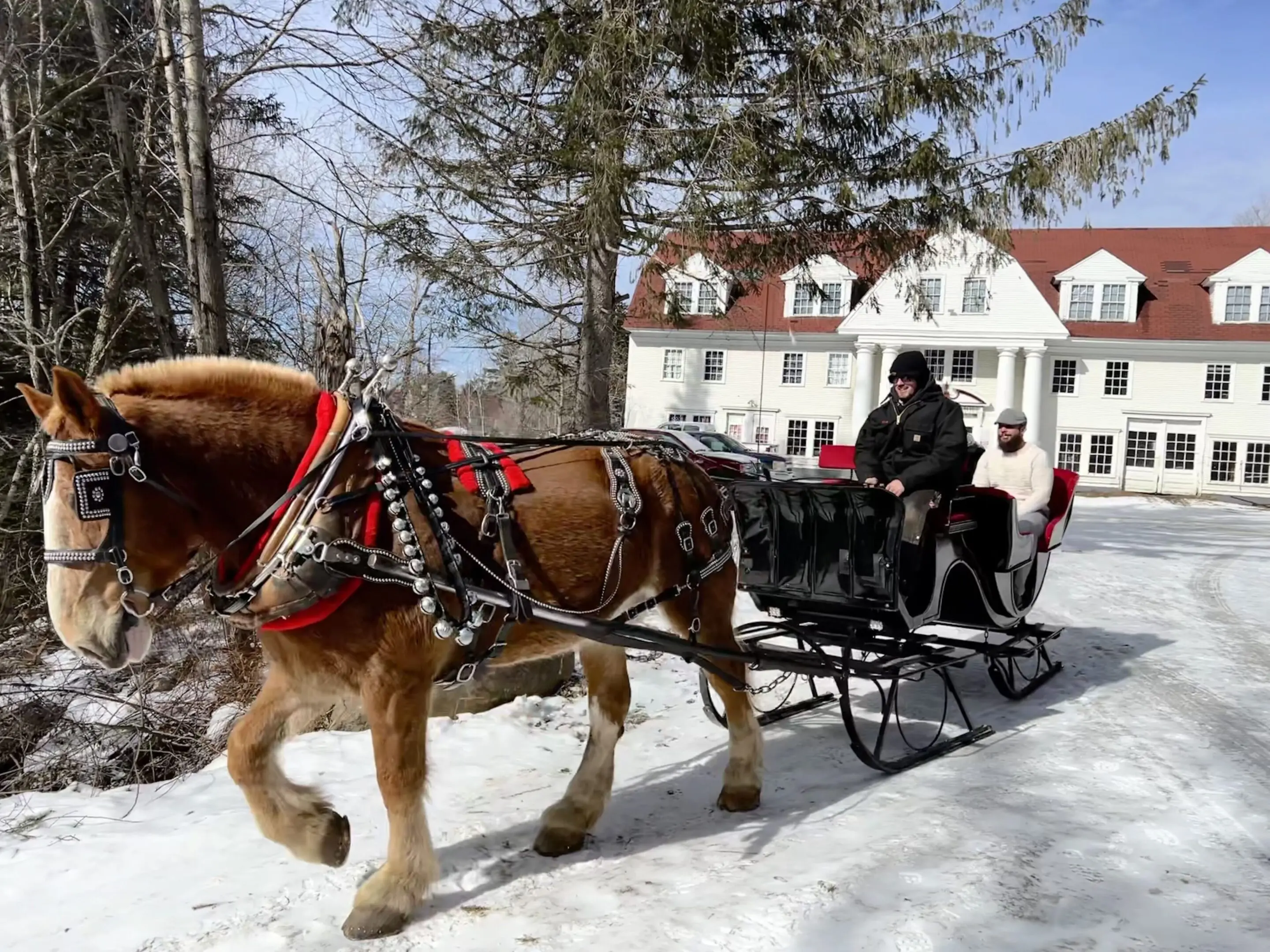 A horse drawn carriage is pulling two people in the snow.