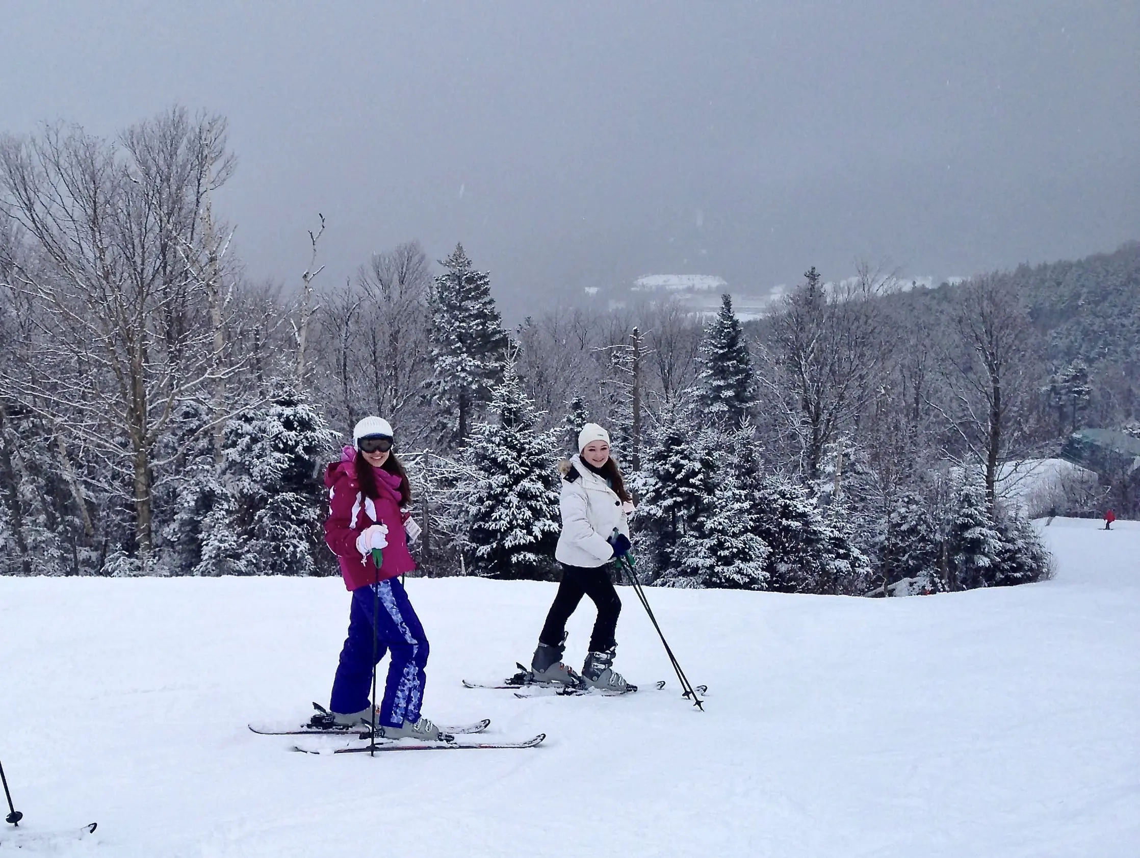 Two people on skis in the snow near trees.