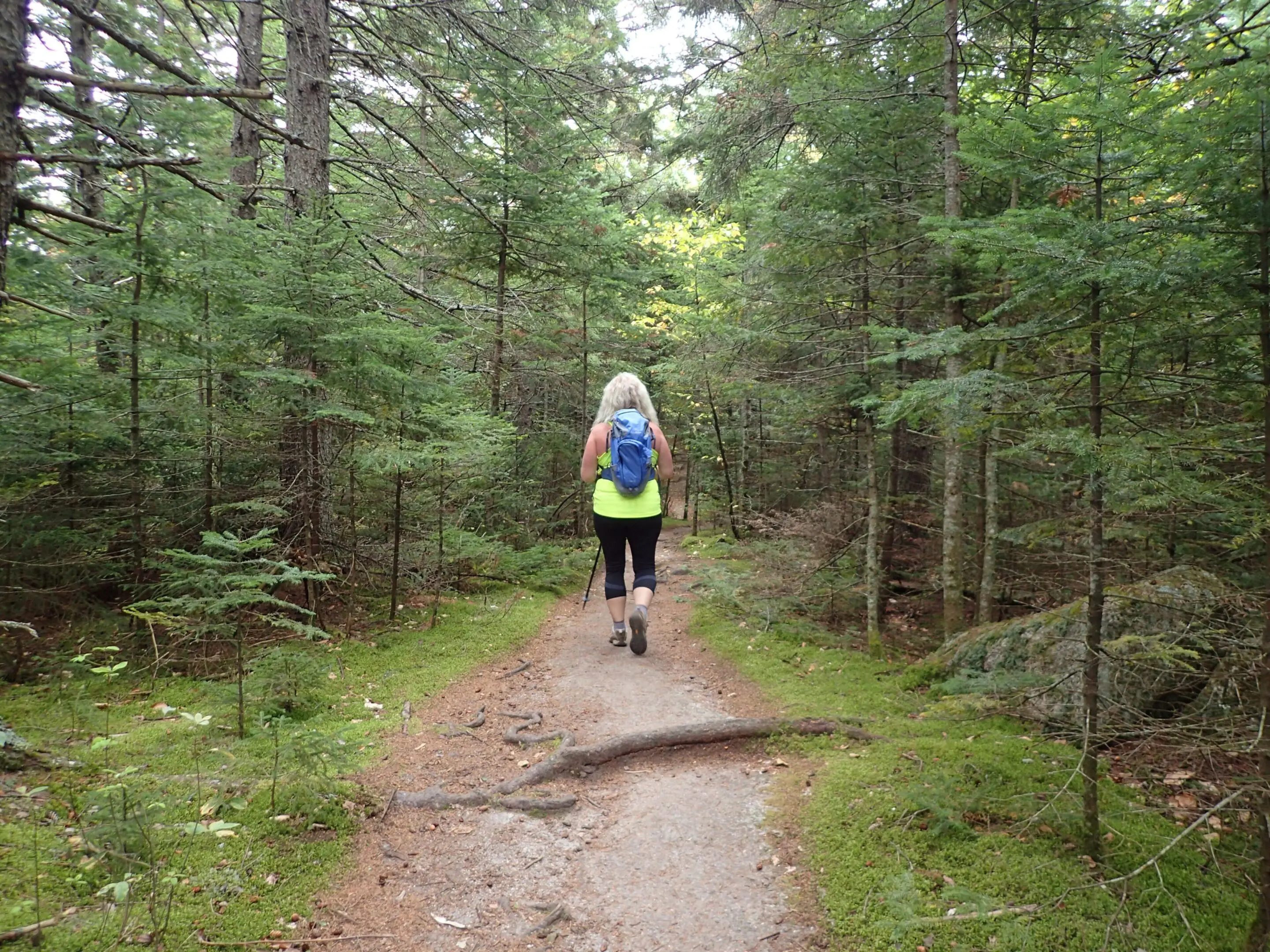 A woman is walking down the trail in the woods.