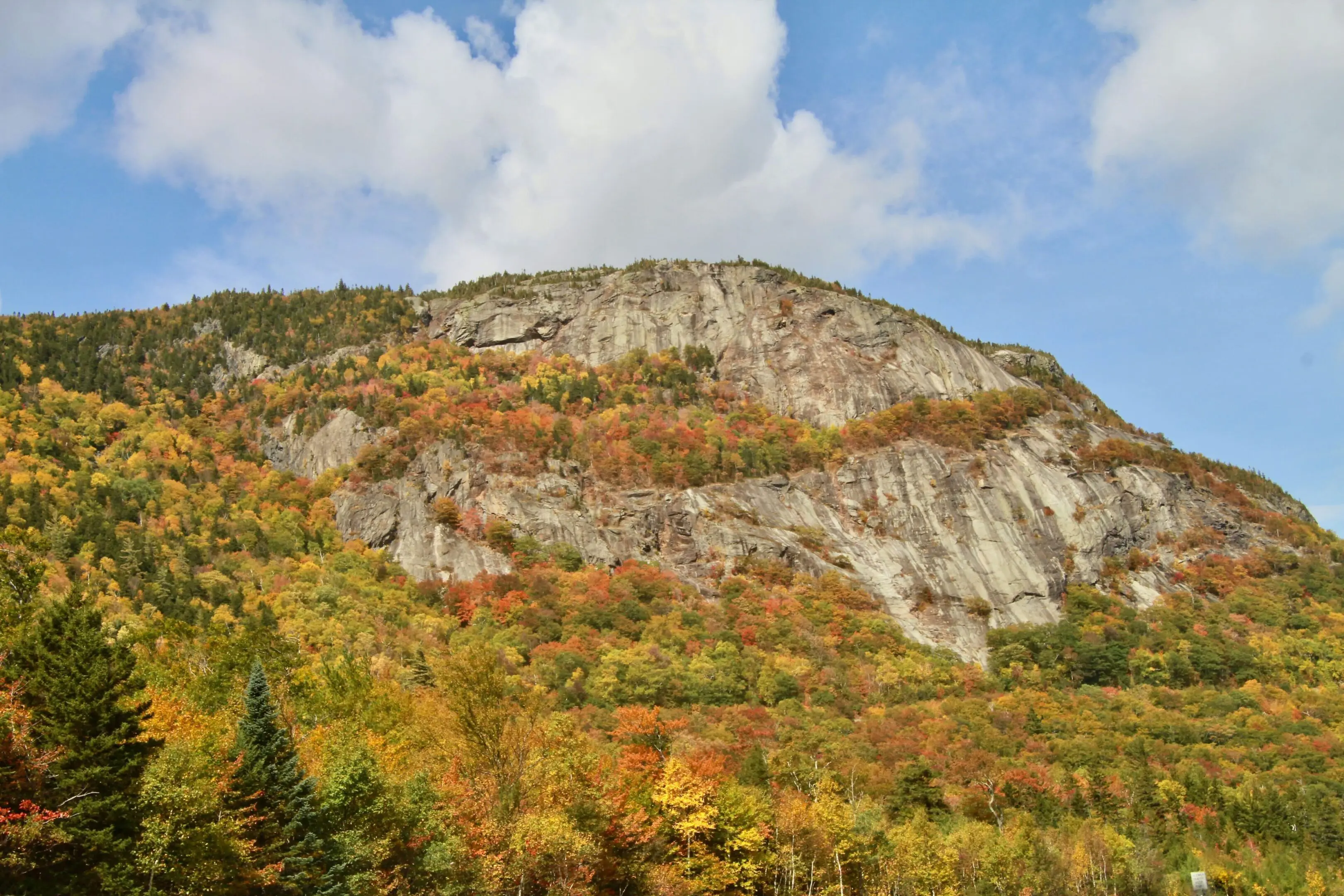 A mountain with trees and rocks in the background