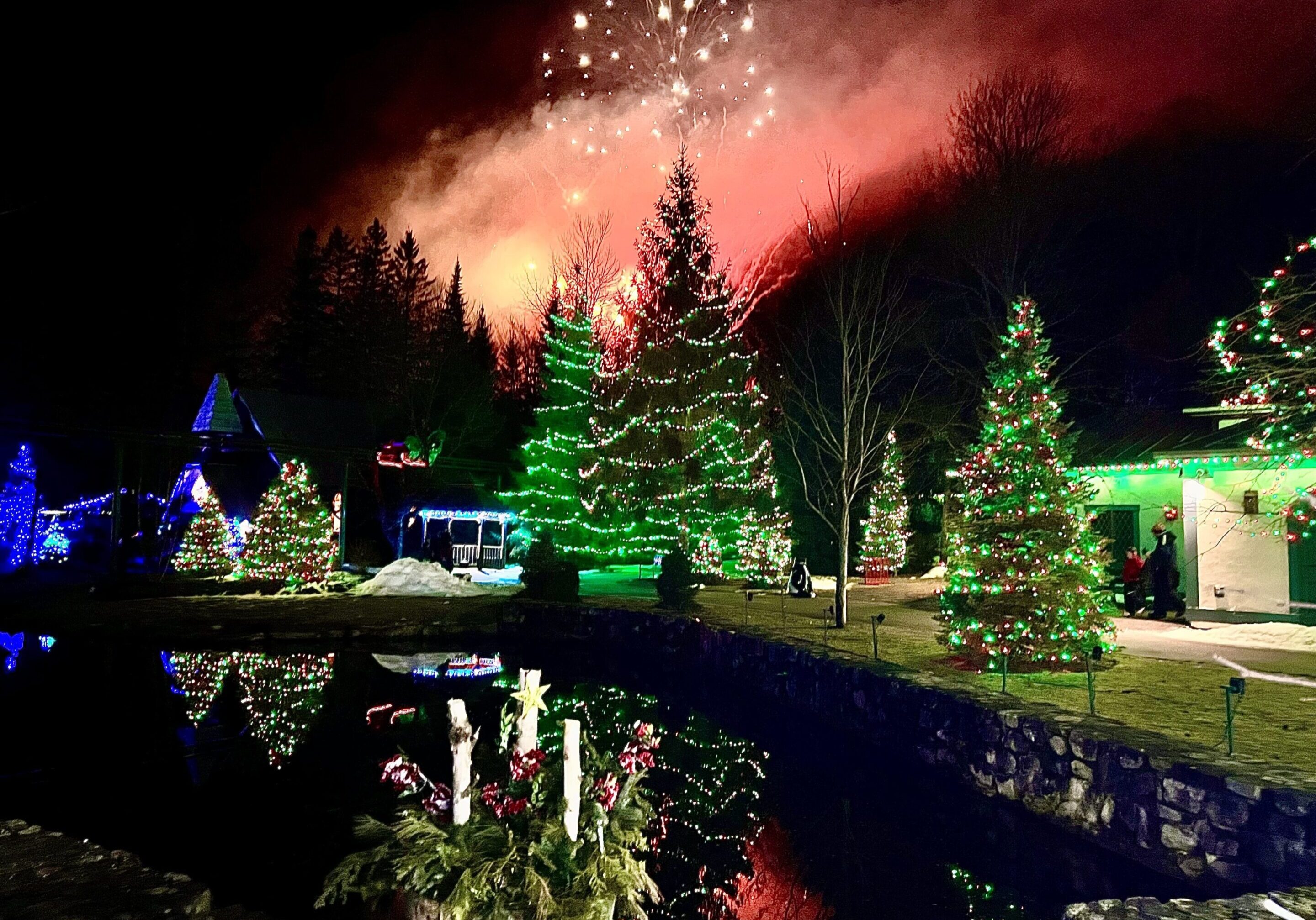 A christmas tree forest with fireworks in the background.